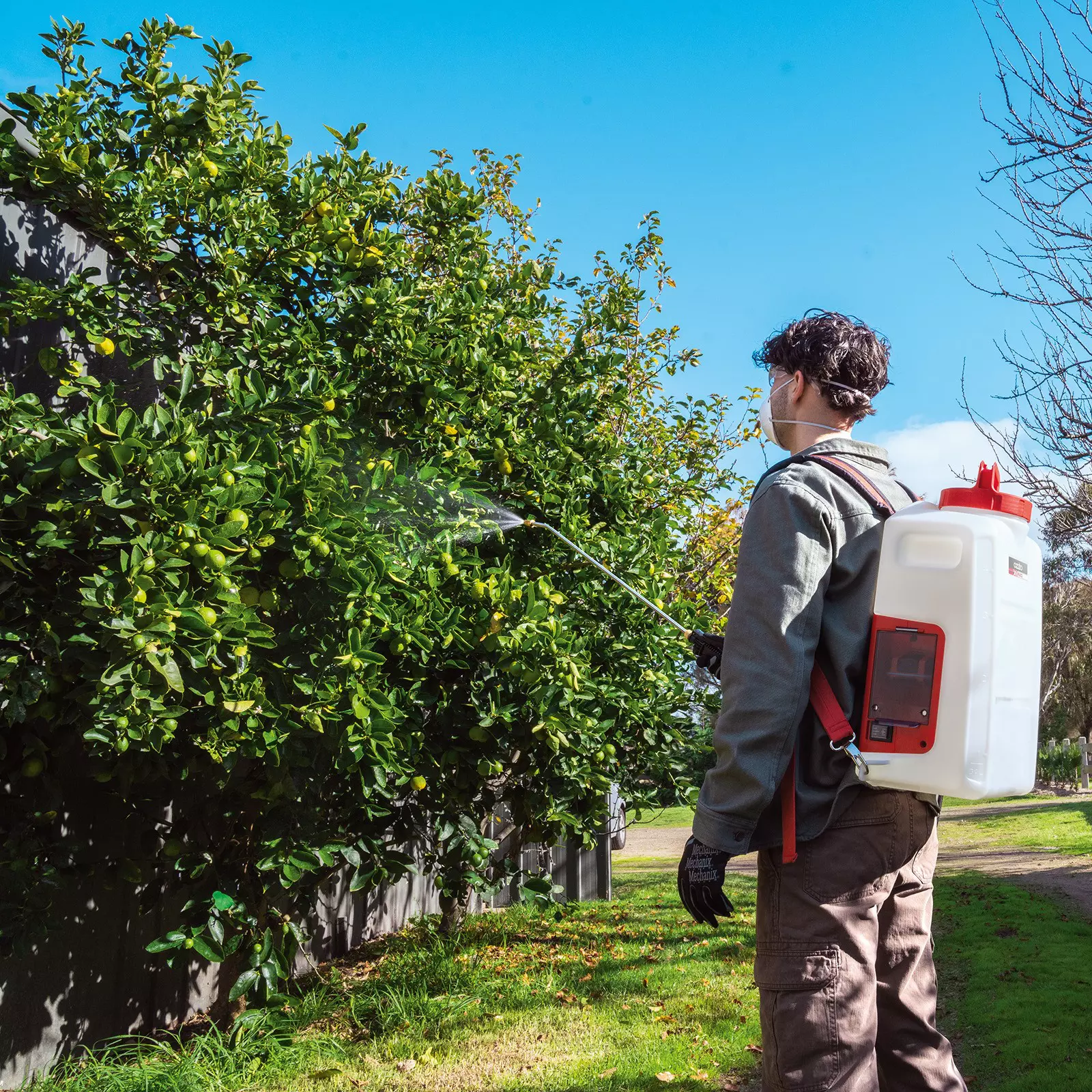 ozito-cordless-pressure-sprayer-3001187-example_usage-102