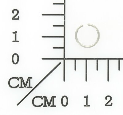 Sicherungsring