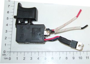 switch with switch trigger