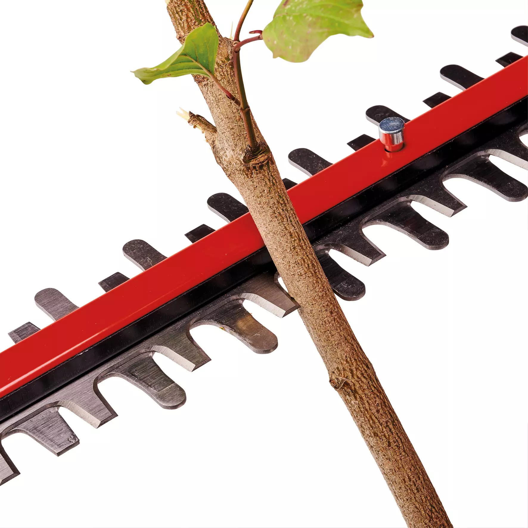 einhell-professional-cordless-hedge-trimmer-3410950-detail_image-002