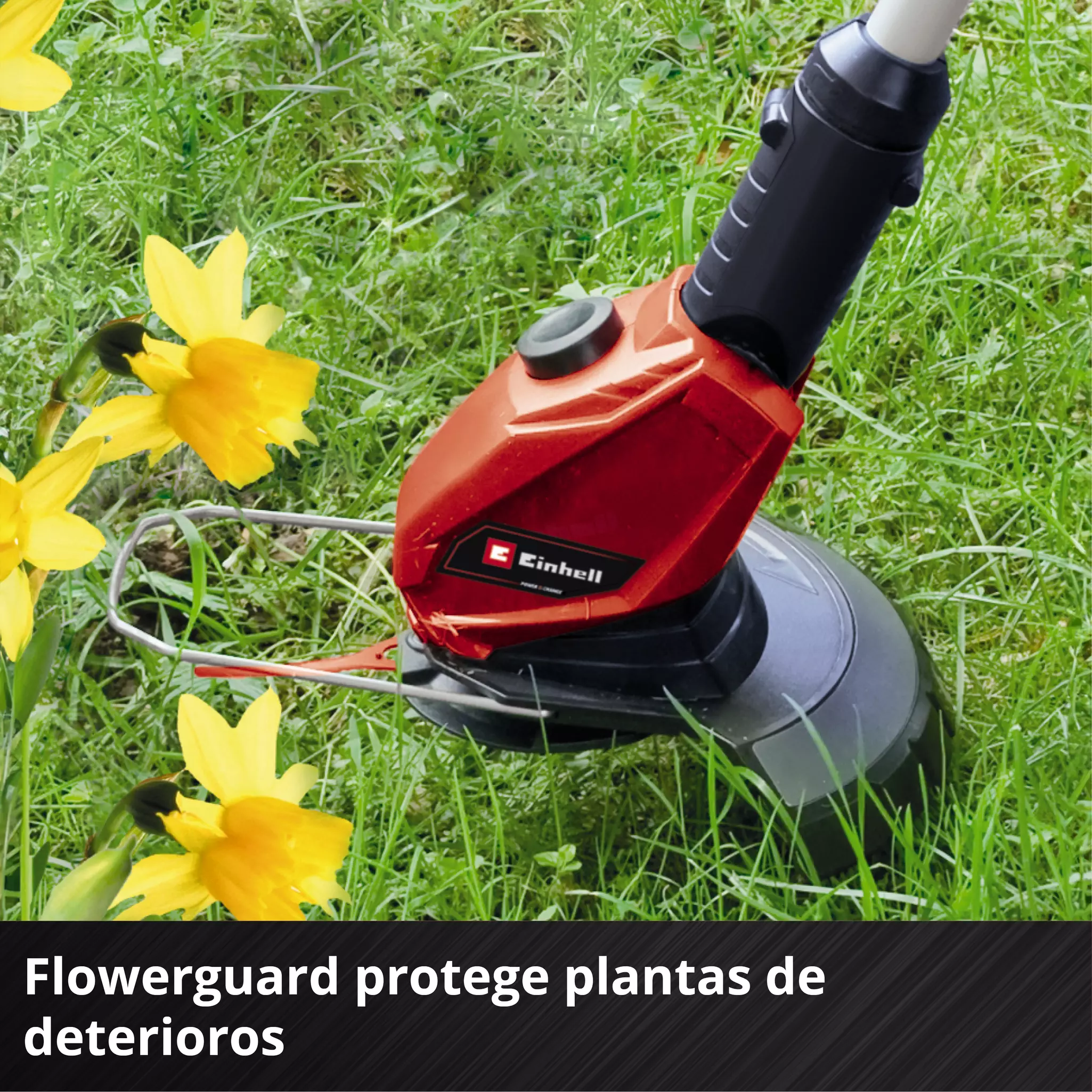 einhell-expert-cordless-lawn-trimmer-3411219-detail_image-006