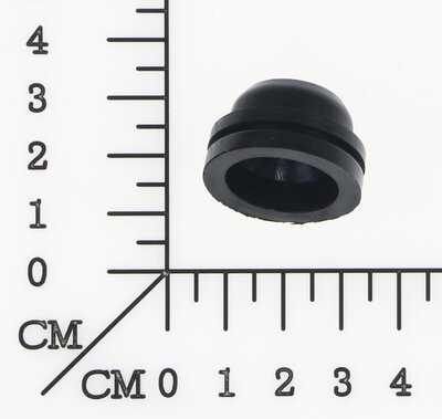 O-Ring