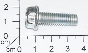 bolt M8x25