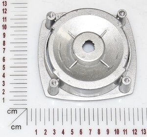 motor end plate