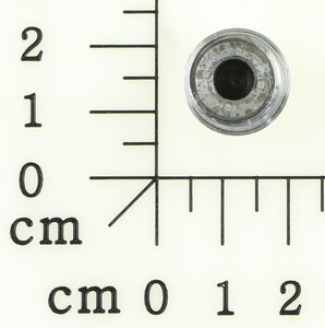 Plug screw