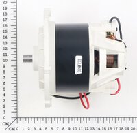 Motor 36V
