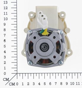Motor